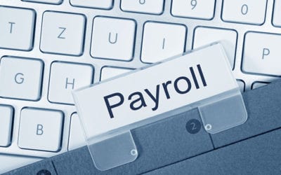 How Can a CPA Help with Payroll Services for My Business? – Canton MI