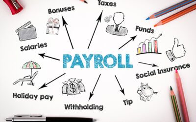 Reasons to Use a CPA to Process Payroll for Your Michigan Business
